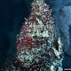 Illustration for article titled What Do Extreme Ecosystems Tell Us About The Nature Of Life?